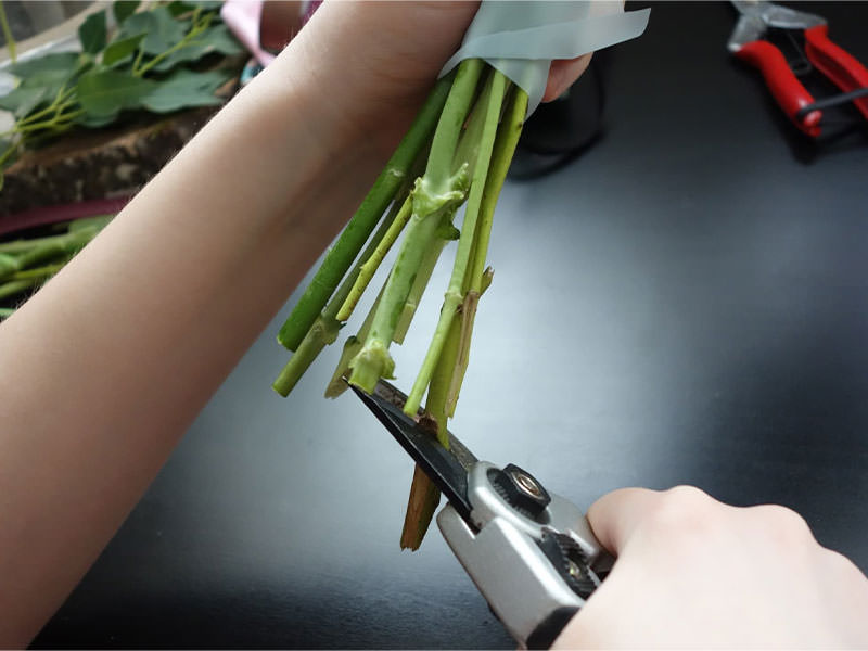 Как правильно подрезать цветы в вазе